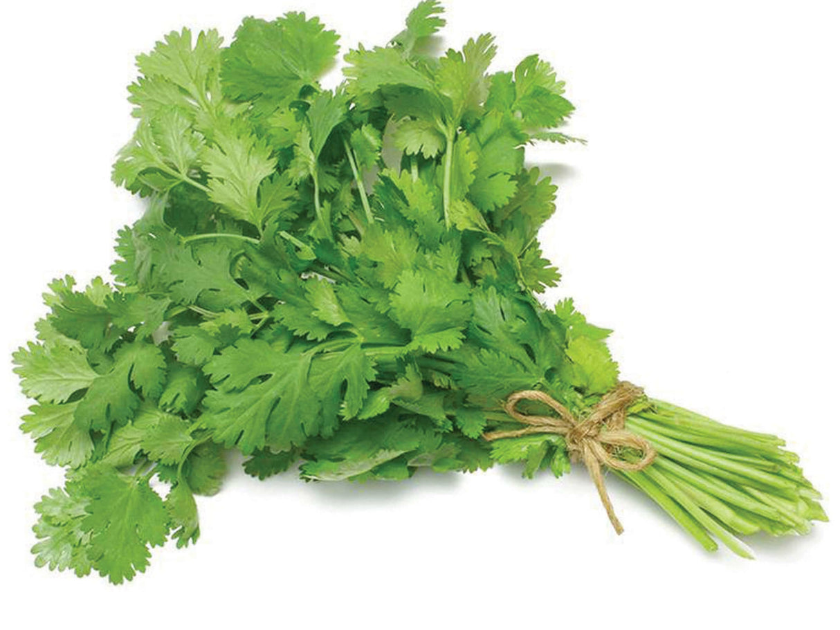 Fresh coriander leaves 2pk